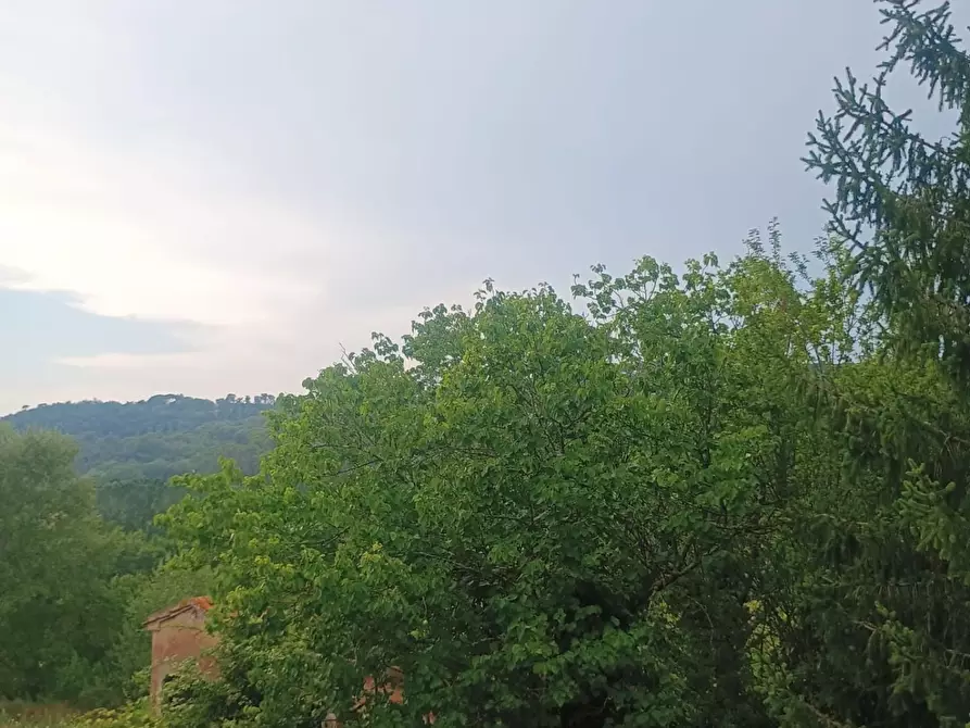 Immagine 11 di Rustico / casale in vendita  a Peccioli