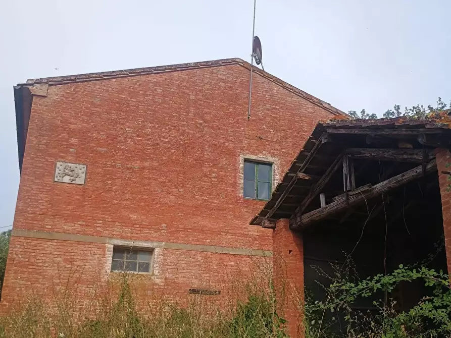 Immagine 3 di Rustico / casale in vendita  a Peccioli