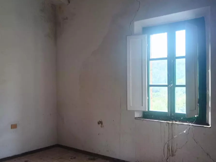 Immagine 23 di Rustico / casale in vendita  a Peccioli