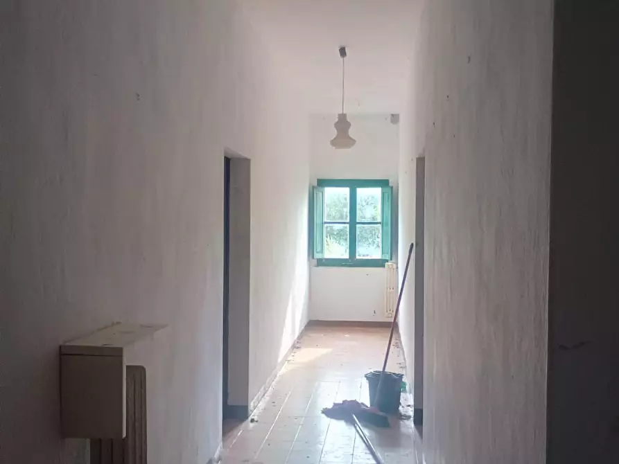 Immagine 16 di Rustico / casale in vendita  a Peccioli