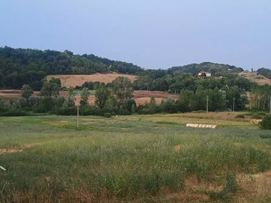 Immagine 1 di Rustico / casale in vendita  a Peccioli