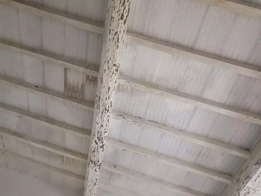 Immagine 21 di Rustico / casale in vendita  a Peccioli