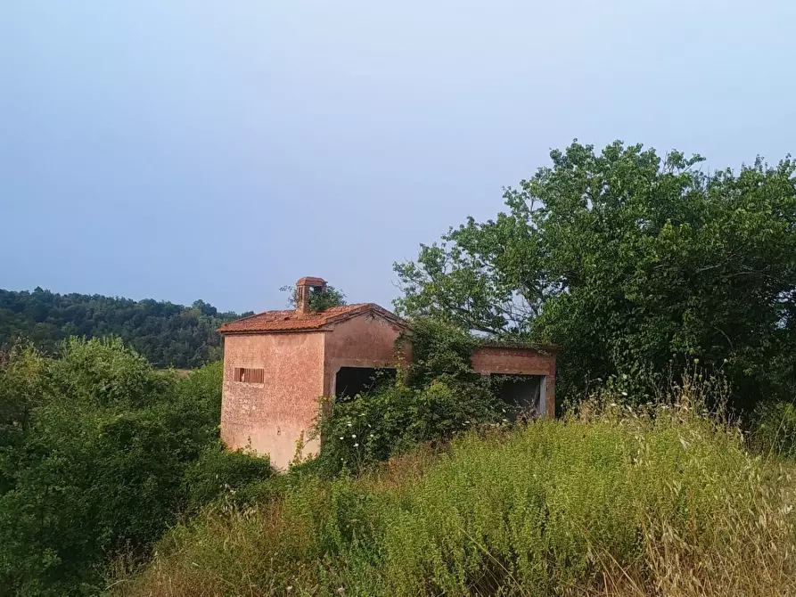 Immagine 4 di Rustico / casale in vendita  a Peccioli
