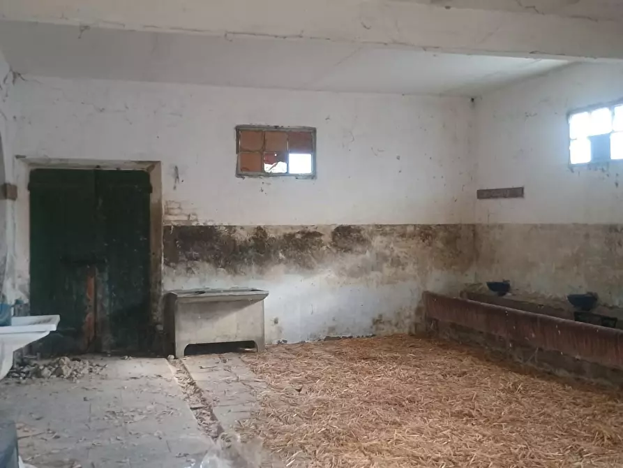 Immagine 25 di Rustico / casale in vendita  a Peccioli