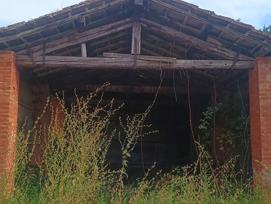 Immagine 5 di Rustico / casale in vendita  a Peccioli