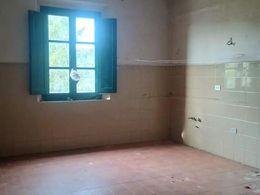Immagine 19 di Rustico / casale in vendita  a Peccioli