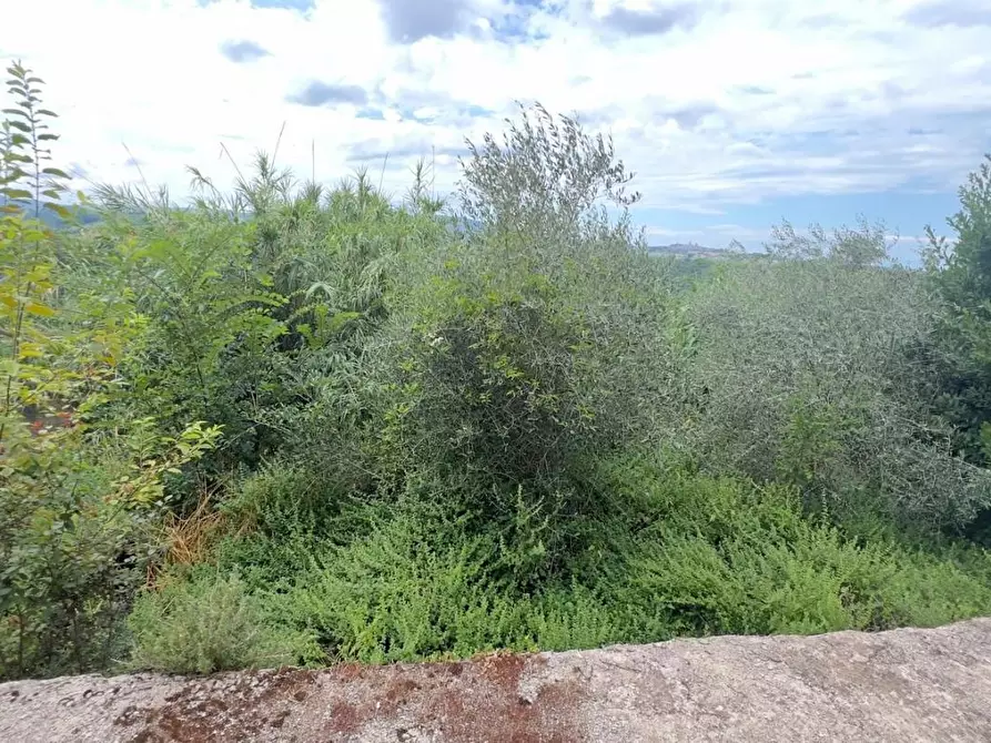 Immagine 17 di Appartamento in vendita  a Colle Di Val D'elsa
