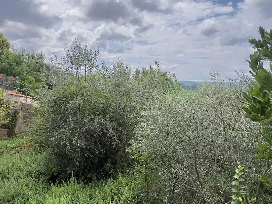 Immagine 24 di Appartamento in vendita  a Colle Di Val D'elsa