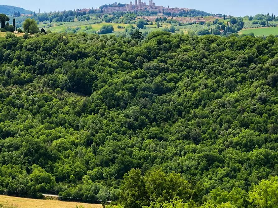 Immagine 33 di Appartamento in vendita  a Colle Di Val D'elsa