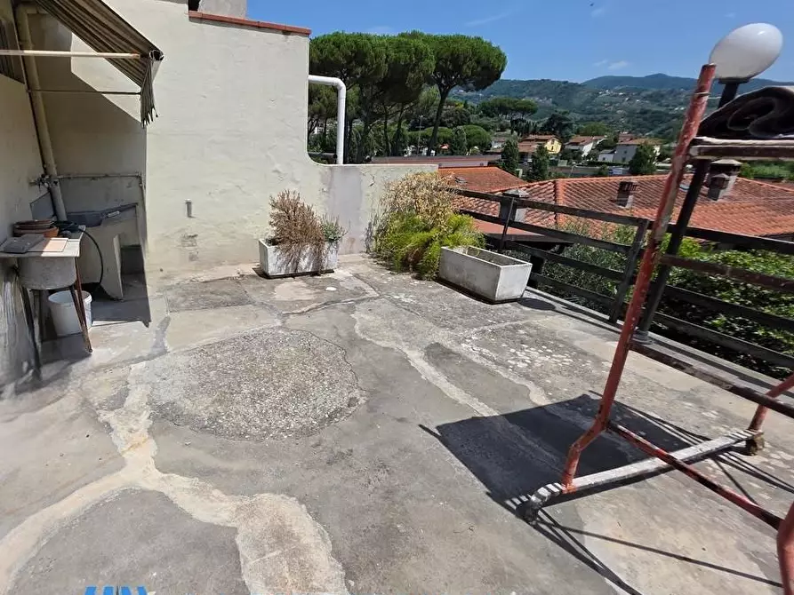 Immagine 17 di Terratetto in vendita  a Lamporecchio