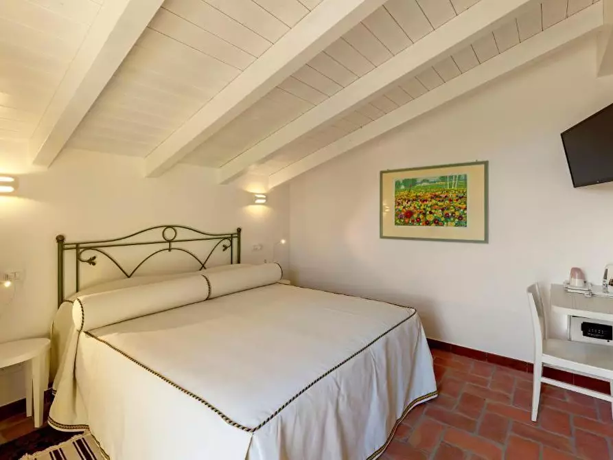 Immagine 26 di Villa in vendita  a Massa