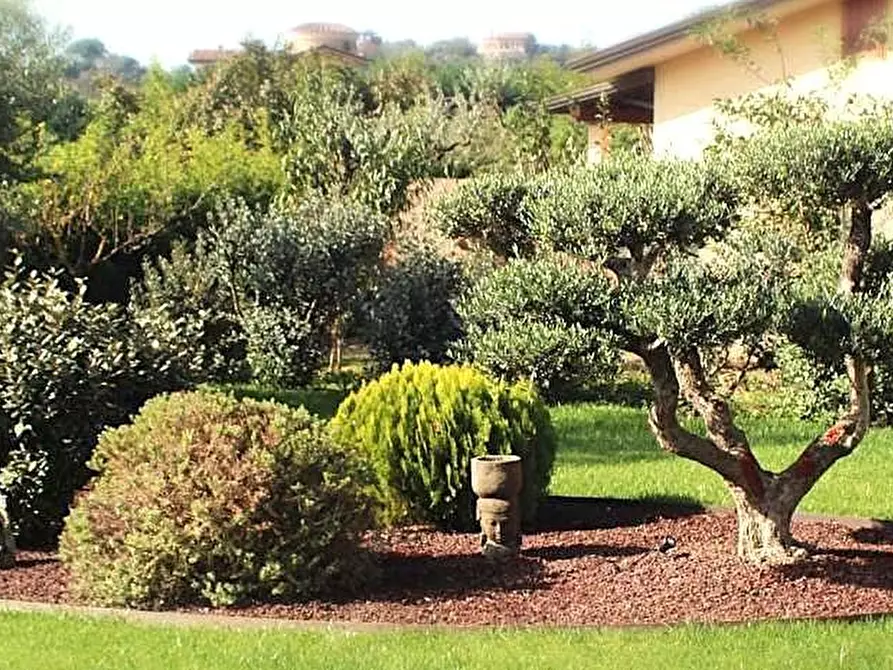 Immagine 41 di Villa in vendita  a Massa