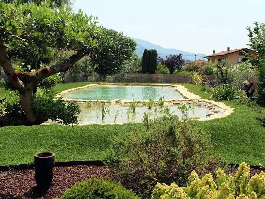 Immagine 1 di Villa in vendita  a Massa