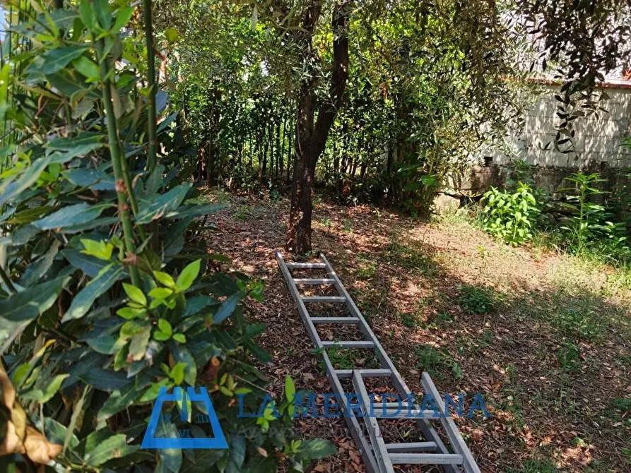 Immagine 16 di Terratetto in vendita  a Lamporecchio