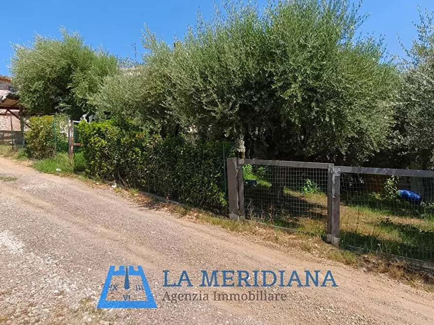 Immagine 17 di Terratetto in vendita  a Lamporecchio