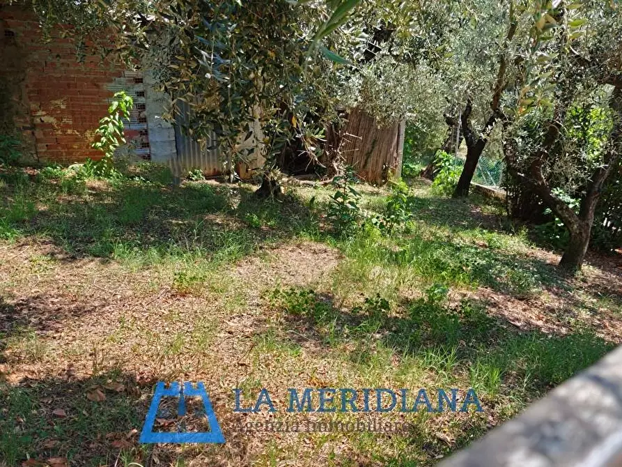 Immagine 15 di Terratetto in vendita  a Lamporecchio