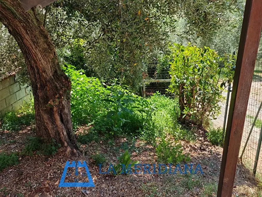 Immagine 18 di Terratetto in vendita  a Lamporecchio
