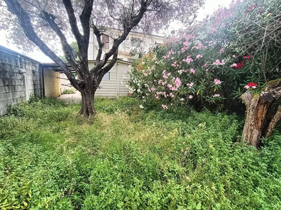 Immagine 2 di Casa semindipendente in vendita  a Carrara
