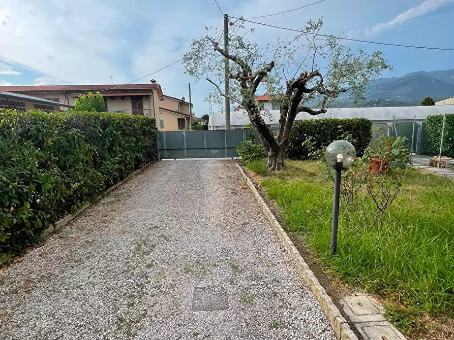 Immagine 23 di Appartamento in affitto  a Camaiore