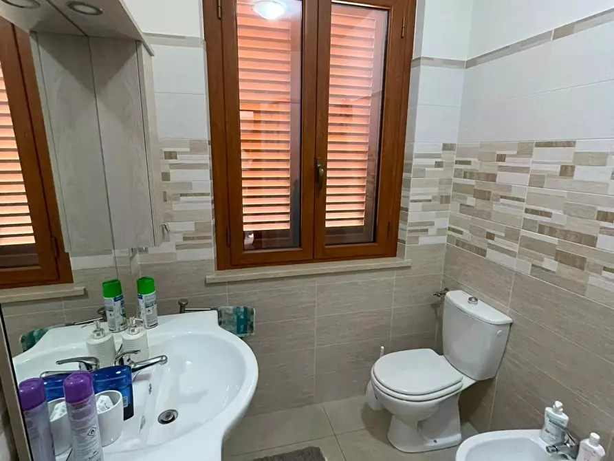 Immagine 24 di Appartamento in affitto  a Camaiore