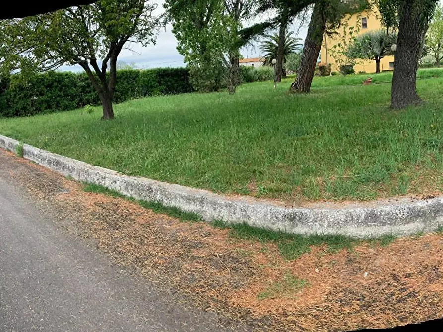 Immagine 9 di Appartamento in vendita  a San Giuliano Terme