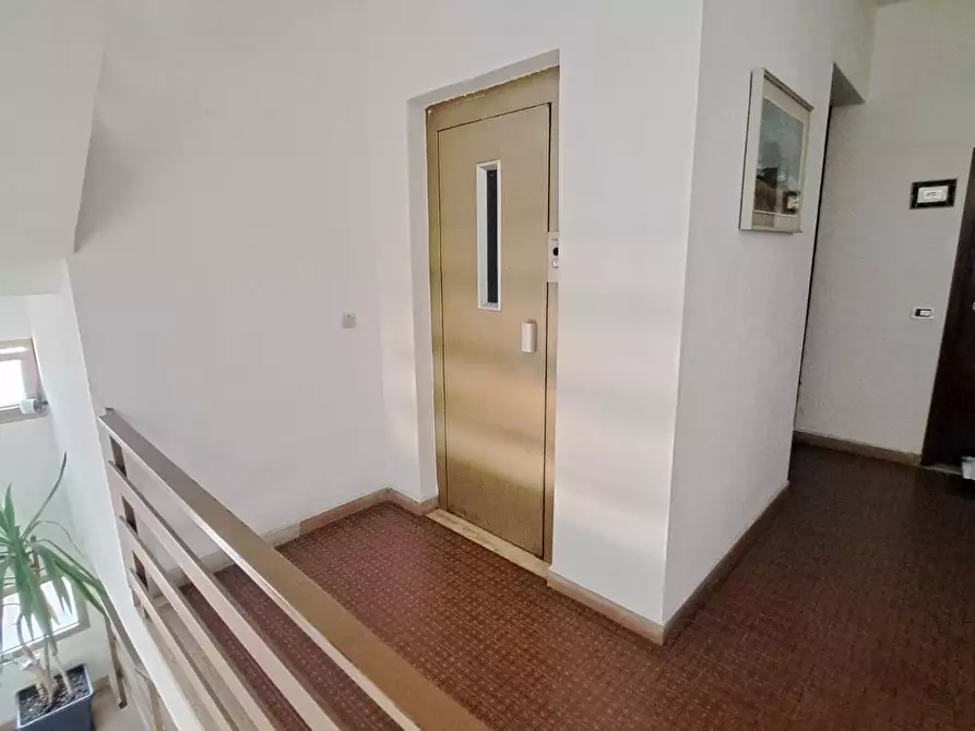 Immagine 14 di Appartamento in vendita  a Rosignano Marittimo