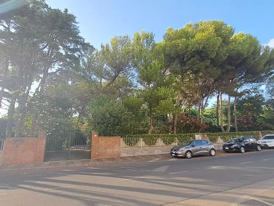 Immagine 19 di Appartamento in vendita  a Rosignano Marittimo