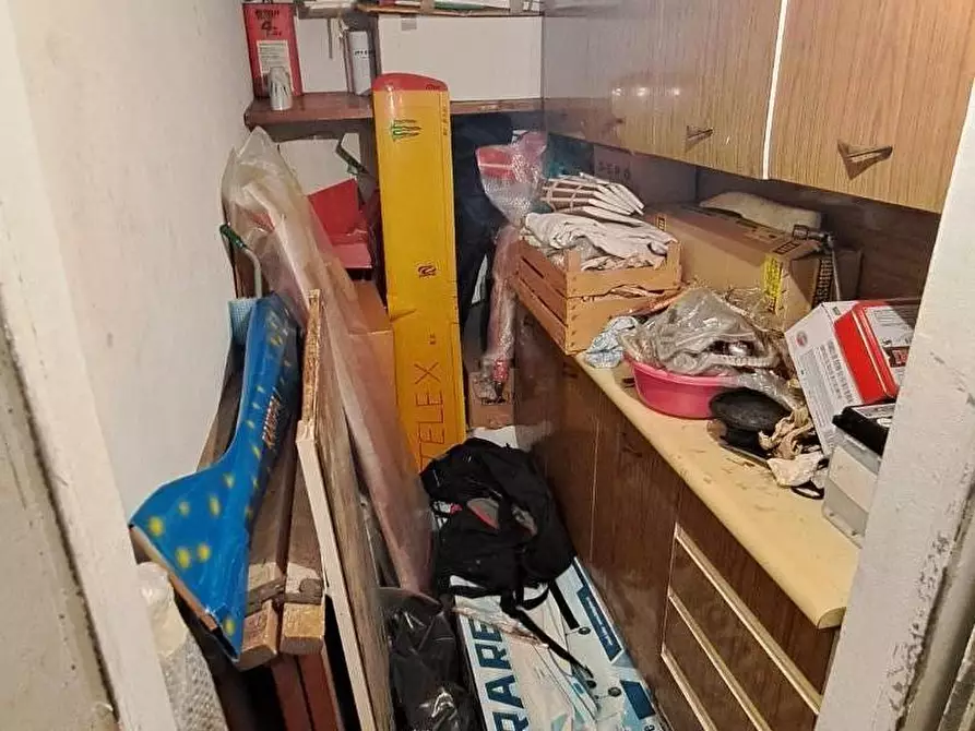Immagine 16 di Appartamento in vendita  a Rosignano Marittimo
