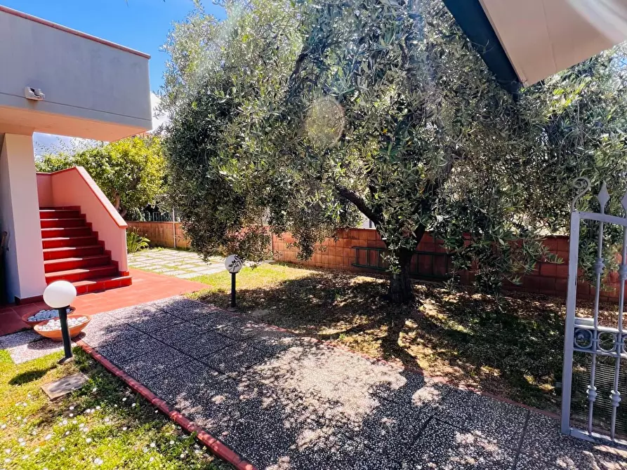 Immagine 37 di Appartamento in vendita  a Bibbona