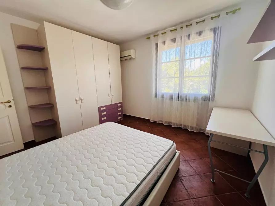 Immagine 26 di Appartamento in vendita  a Bibbona