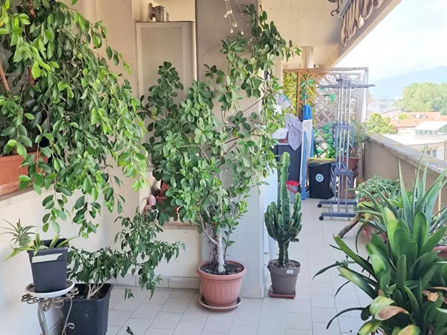 Immagine 24 di Mansarda in vendita  a Viareggio
