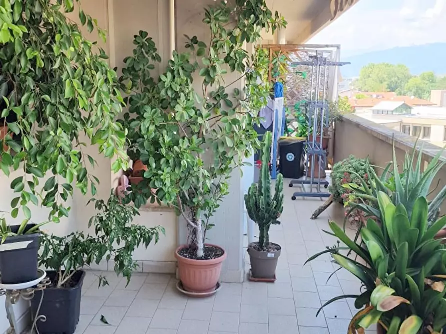 Immagine 25 di Mansarda in vendita  a Viareggio