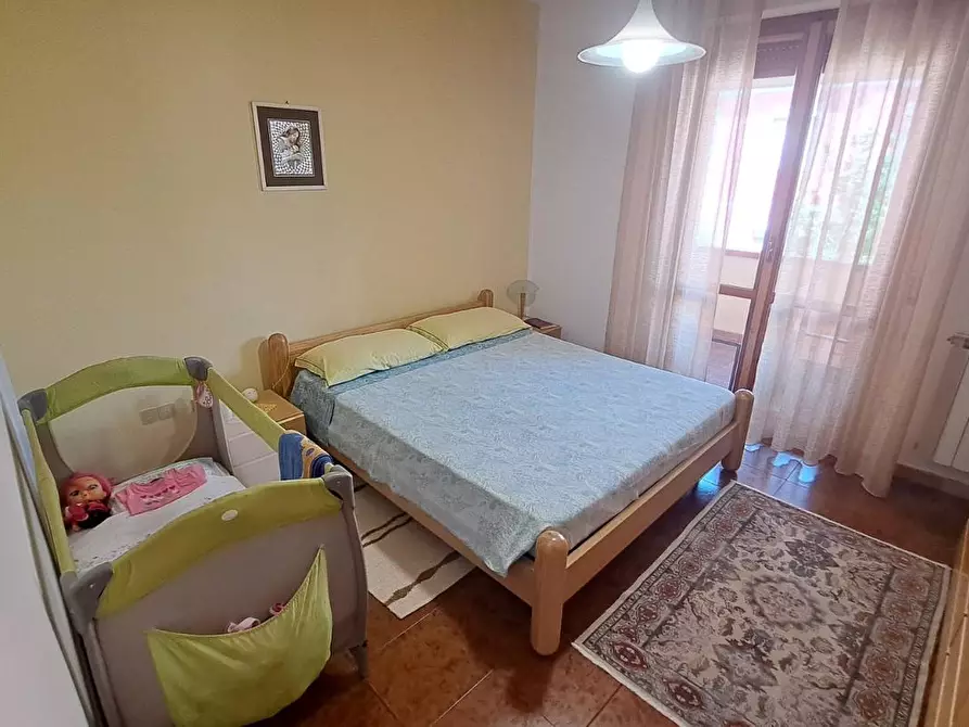 Immagine 11 di Appartamento in vendita  a Rosignano Marittimo