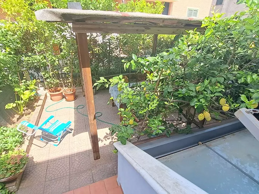 Immagine 23 di Terratetto in vendita  a Rosignano Marittimo