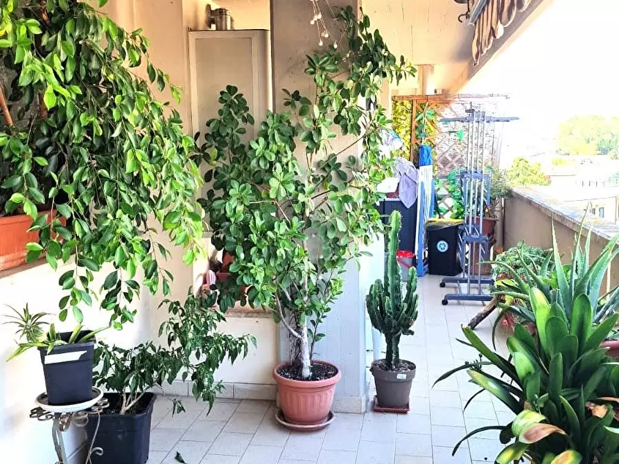 Immagine 5 di Appartamento in vendita  a Viareggio