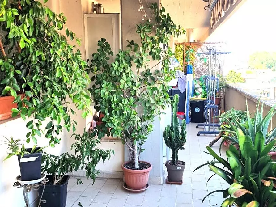 Immagine 22 di Appartamento in vendita  a Viareggio