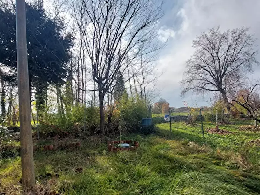 Immagine 6 di Casa colonica in vendita  a Barone Canavese