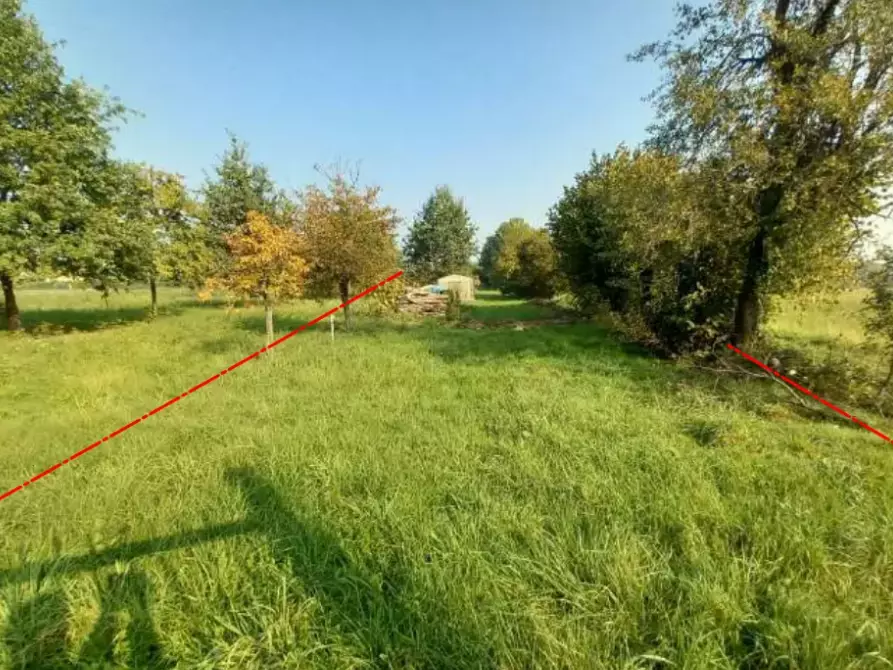 Immagine 21 di Villa in vendita  a Oglianico