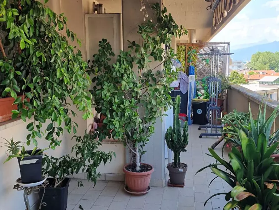 Immagine 10 di Appartamento in vendita  a Viareggio
