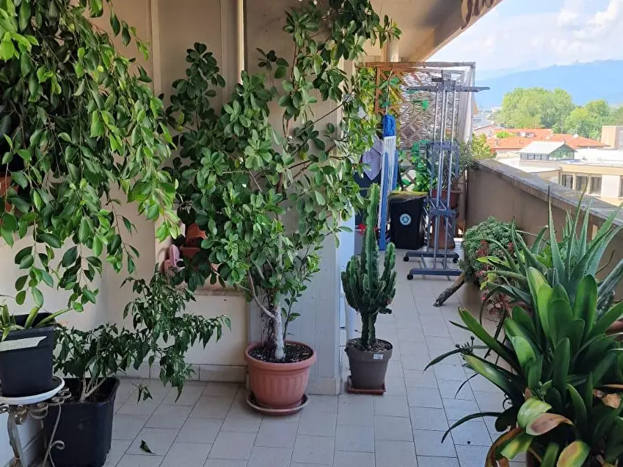 Immagine 7 di Appartamento in vendita  a Viareggio