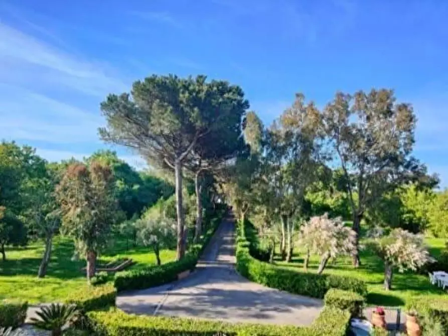Immagine 9 di Appartamento in vendita  a Pisa