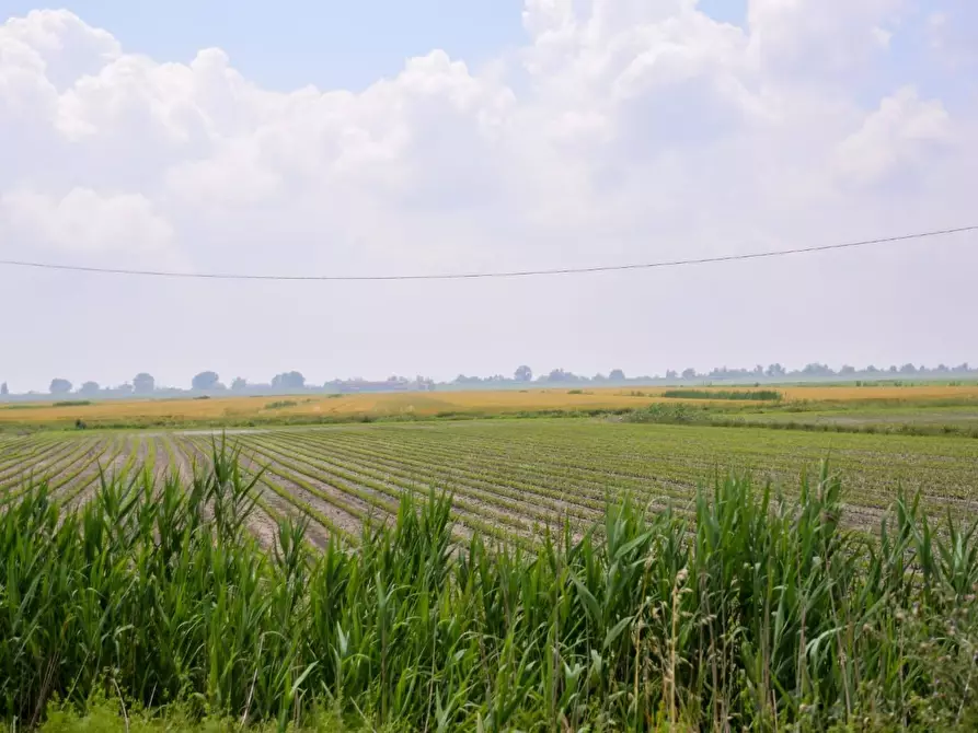 Immagine 6 di Terreno agricolo in vendita  a Pianezza