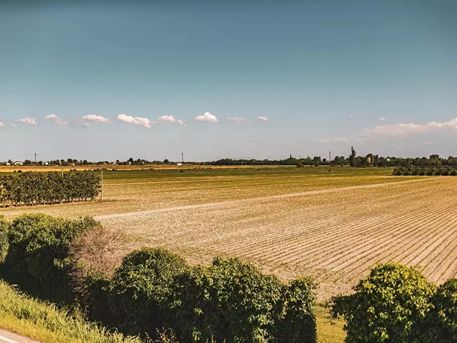 Immagine 5 di Terreno agricolo in vendita  a Pianezza