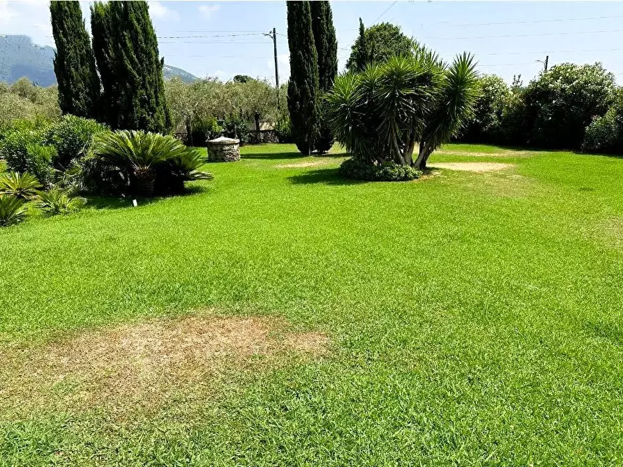 Immagine 7 di Villa in vendita  a Pietrasanta