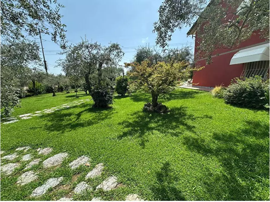 Immagine 16 di Villa in vendita  a Pietrasanta