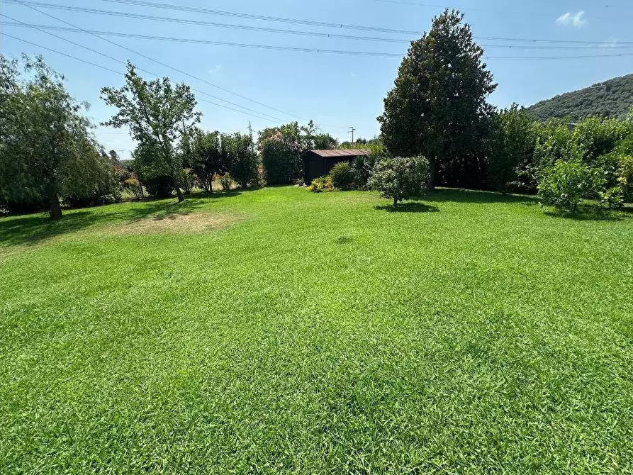 Immagine 8 di Villa in vendita  a Pietrasanta