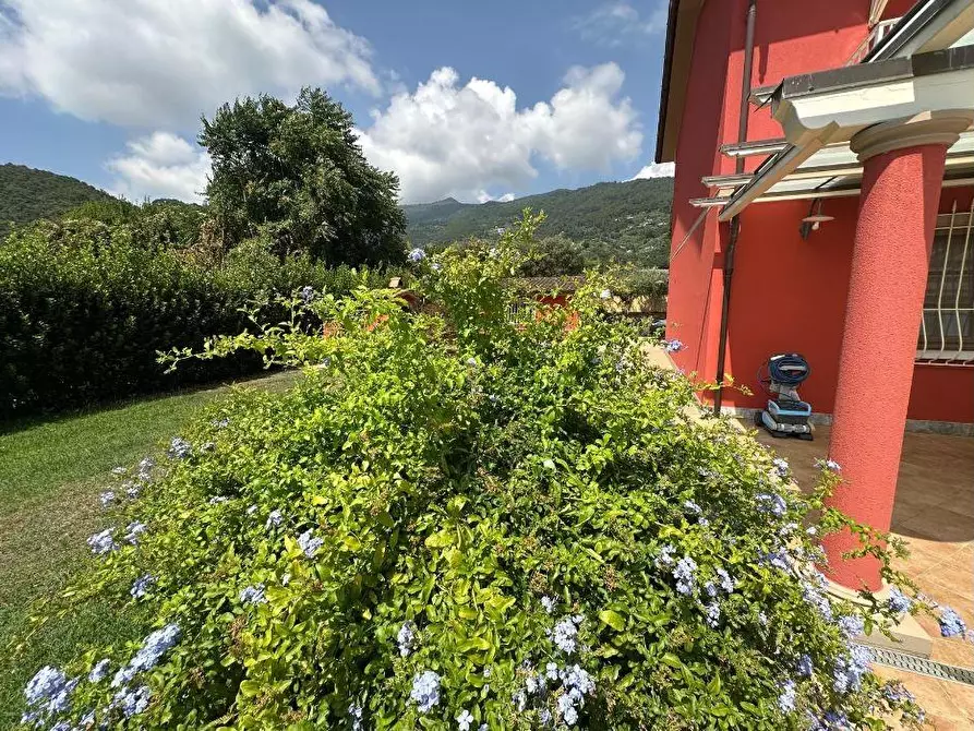 Immagine 10 di Villa in vendita  a Pietrasanta