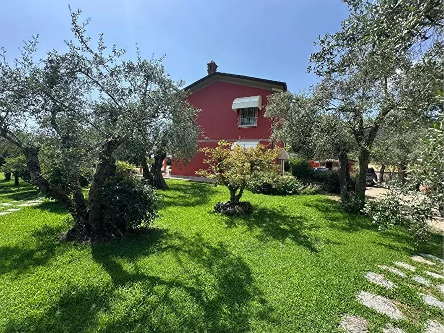 Immagine 54 di Villa in vendita  a Pietrasanta