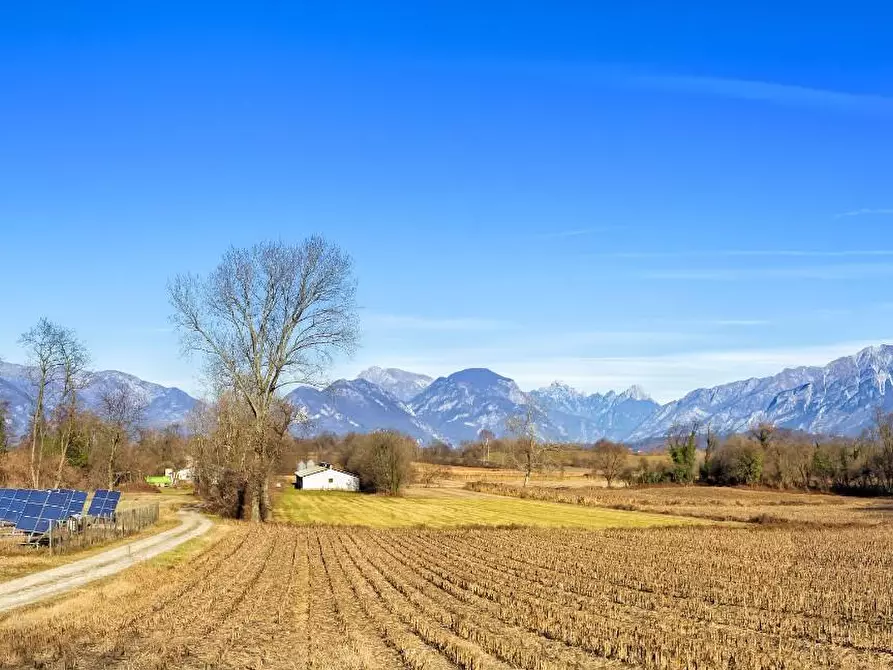 Immagine 3 di Terreno residenziale in vendita  a Pinerolo
