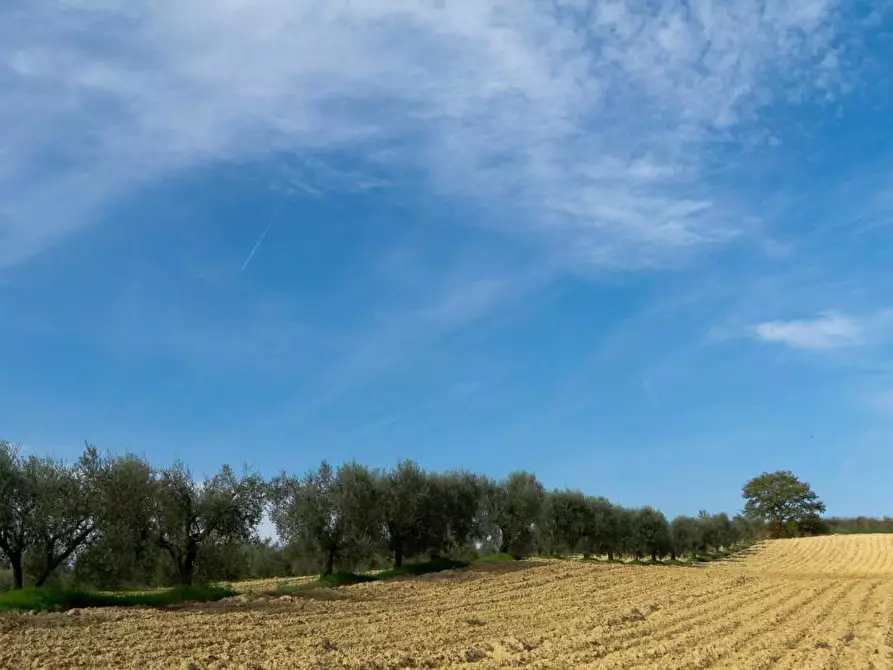 Immagine 3 di Terreno residenziale in vendita  a La Loggia